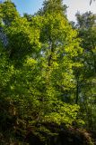 IMG_6284