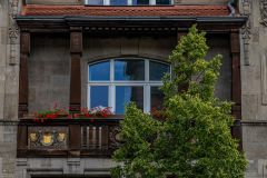 IMG_6074