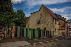 IMG_6117