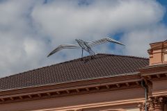 IMG_6123