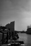 IMG_3895-SW