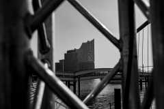 IMG_3952-SW