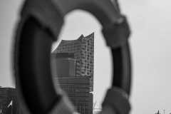 IMG_3966-SW