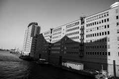 IMG_3994-SW