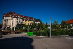 IMG_6409