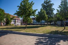 IMG_6410
