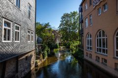 IMG_6416