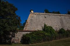 IMG_6441