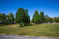 IMG_6444