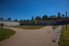 IMG_6445