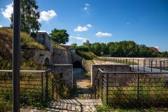 IMG_6447