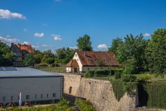 IMG_6449