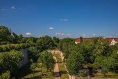 IMG_6450
