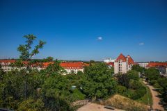 IMG_6451