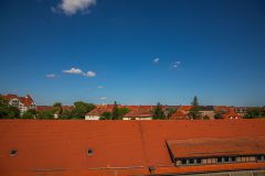 IMG_6453