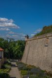 IMG_6474