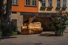 IMG_6488