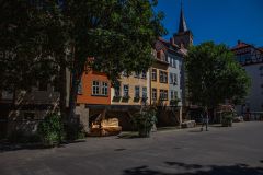 IMG_6489