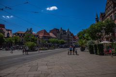 IMG_6513