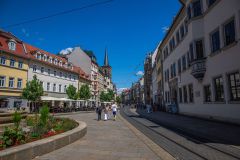 IMG_6530
