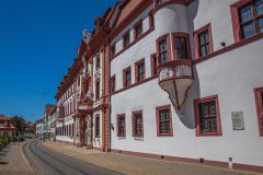 IMG_6531