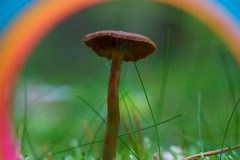DSC00494