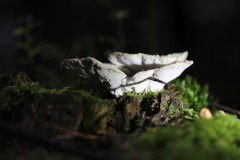 IMG_9353