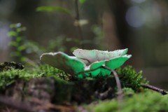 IMG_9355