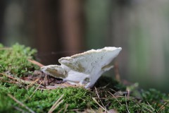 IMG_9377