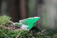 IMG_9378