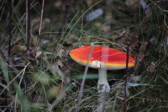IMG_9657