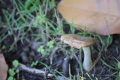 IMG_9665