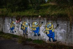 IMG_8785