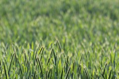 IMG_1496