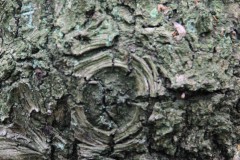 Bild12