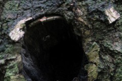Bild13