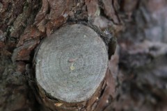 Bild17