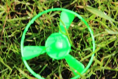 Bild20