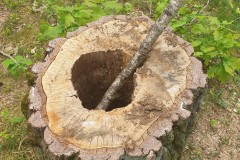 Bild3