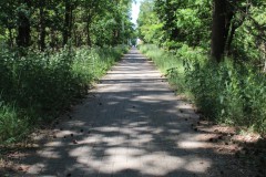 IMG_1800