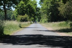 IMG_1816