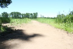 IMG_1831