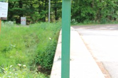 IMG_1906
