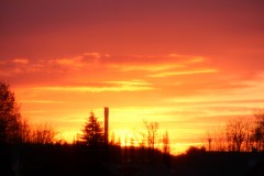 IMG_1198