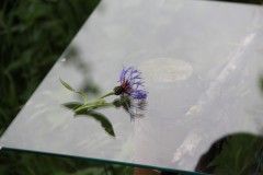 IMG_9722