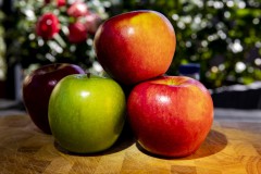IMG_5871