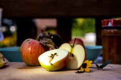 IMG_6404