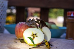 IMG_6440