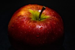 IMG_6451