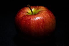 IMG_6491